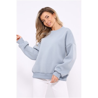 Свитшот 21062