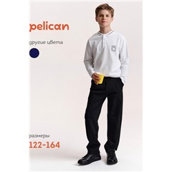 Брюки PELICAN, 1188903