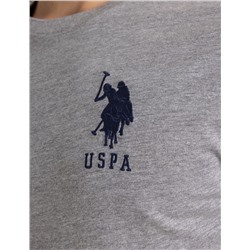 VERTICAL U.S. POLO ASSN. GRAPHIC COLORBLOCK T-SHIR