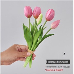 Маленький букет из тюльпанов ( 5 шт * 25 см)