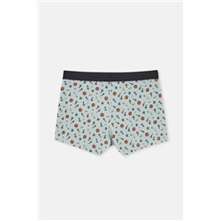 Dagi Gri Mavi 5210 Desenli Pamuk Boxer
