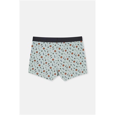 Dagi Gri Mavi 5210 Desenli Pamuk Boxer