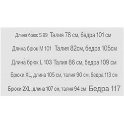 Мужские утепленные спортивные штаны с лампасами и завязками ЭМПОРИО АРМАН*И