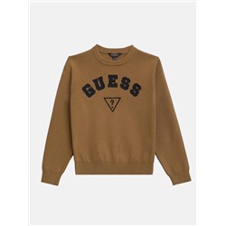Guess  Phoenix crewneck sweater (7-16)