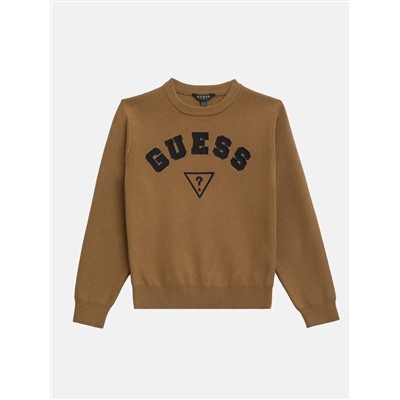 Guess  Phoenix crewneck sweater (7-16)