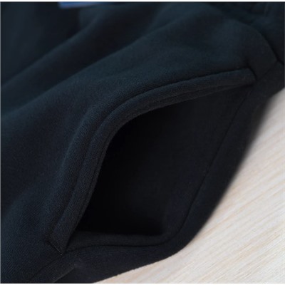 Мужские утепленные штаны на флисе РАЛЬ*Ф Л