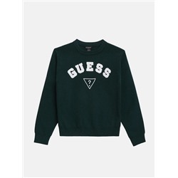 Guess  Phoenix crewneck sweater (7-16)