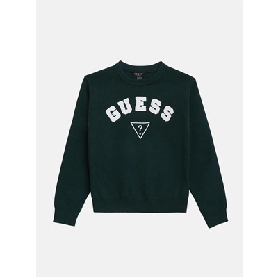 Guess  Phoenix crewneck sweater (7-16)