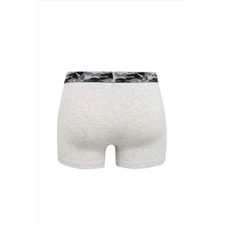 DeFacto Regular Fit 3lü Boxer C1536AX24AU