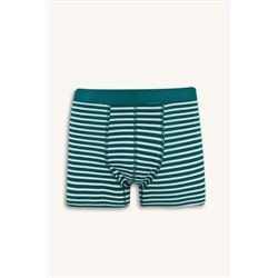 DeFacto Regular Fit Çizgili 3'lü Boxer E9580AX25SP