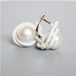 Серьги серебро 52888S1W