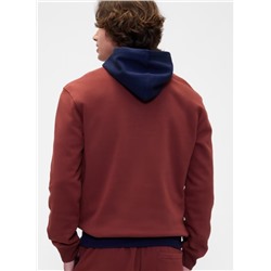 Relaxed Gap Logo Colorblock Hoodie