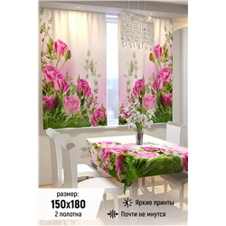 Фотошторы для кухни 10830