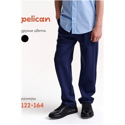 Брюки PELICAN, 1188904