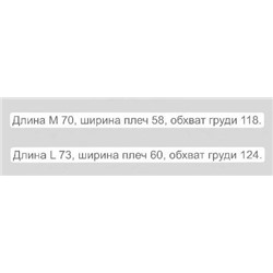 Мужская футболка Us Pol*o Ass*n