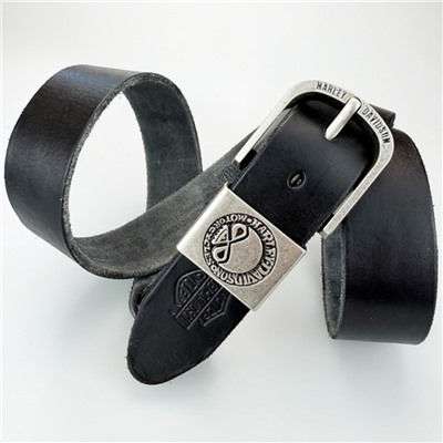 Брендовый Ремень