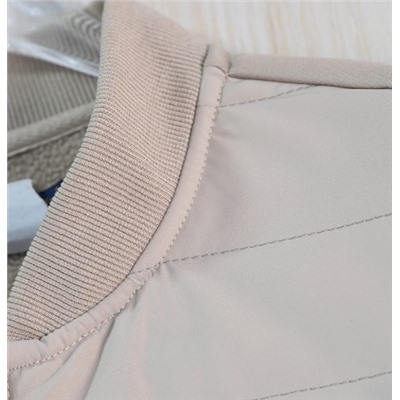 Мужской стеганый жилет РАЛЬ*Ф Л