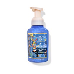 Crisp Morning Air Gentle & Clean Foaming Hand Soap