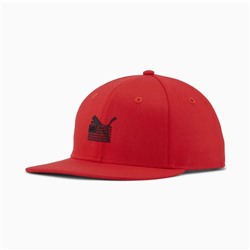 https://us.puma.com/us/en/pd/puma-x-tmc-everyday-hussle-flat-brim-snapback/858605