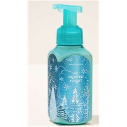 Frosted Forest Gentle & Clean Foaming Hand Soap