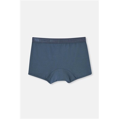 Dagi Indigo Basic Micro Modal 3'lü Boxer
