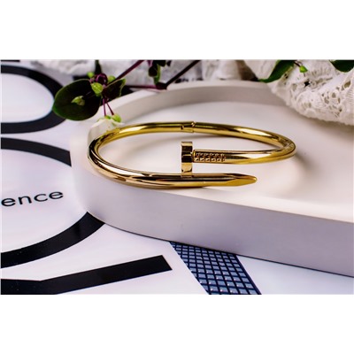 Стальной браслет Картье Гвоздь + Подарок