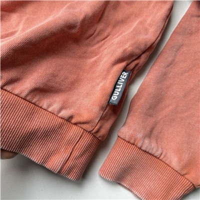 Детская толстовка / худи с капюшоном ГУЛИВЕ*Р  Экспорт в Россию  Материал: хлопок 100%