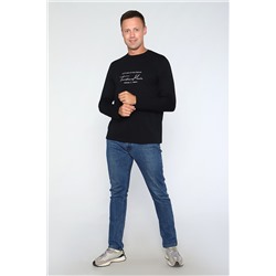 Лонгслив 55065 с дл рукавом