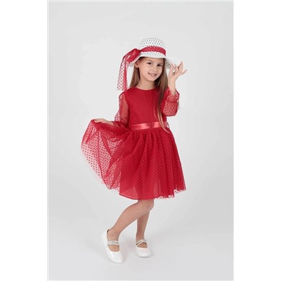 AHENGİM Kız Çocuk Elbise Kız Şapkalı Elbise Kız Elbise Tül Elbise Ak2228 1-2-10001159