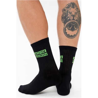 Носки мужские Учёба (набор 3 пары)