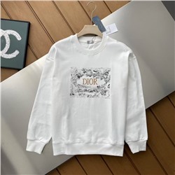 Толстовка свитшот Dio*r  Унисекс модель