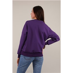 Толстовка 88053