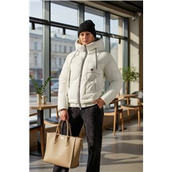 Демисезонная куртка, арт. Н3039, Евро-зима