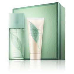 ELIZABETH ARDEN GREEN TEA edp (w) 100ml + 100ml b/lot