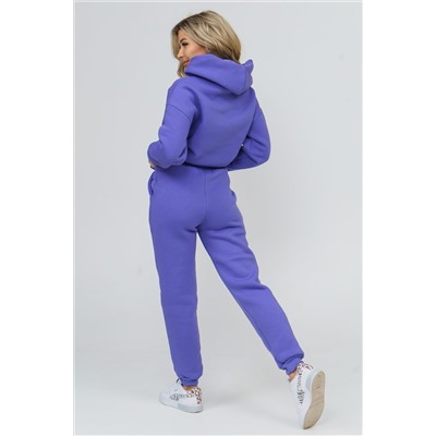 Костюм 36586 (худи + брюки) НАТАЛИ #811075