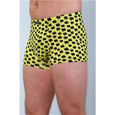 Трусы мужские 28621