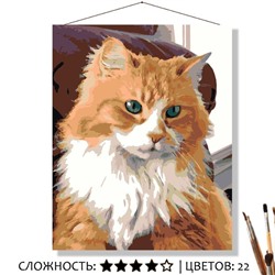 «БОЦМАН»
