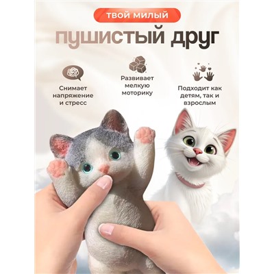 Сквиш таба Котик 60238