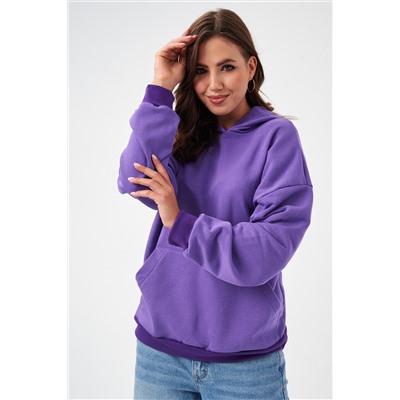 52717 Толстовка женская без начеса