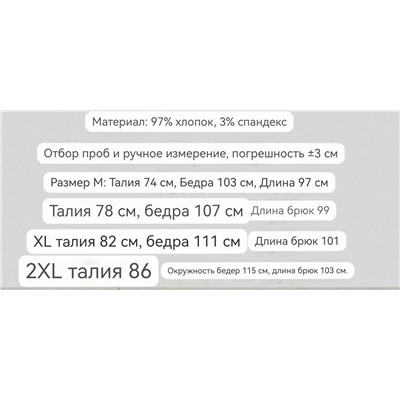 Мужские утепленные штаны на флисе  РАЛЬ*Ф Л