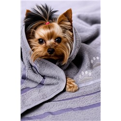 14418/8 Полотенце Лапки маленькие