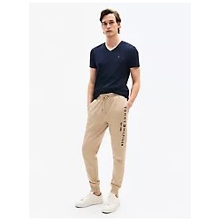 Slim Fit V-Neck T-Shirt