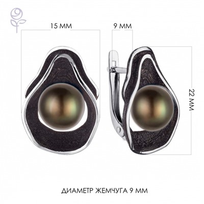 Серьги серебро 52818S2B