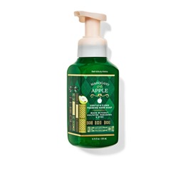 Mahogany Apple Gentle & Clean Foaming Hand Soap
