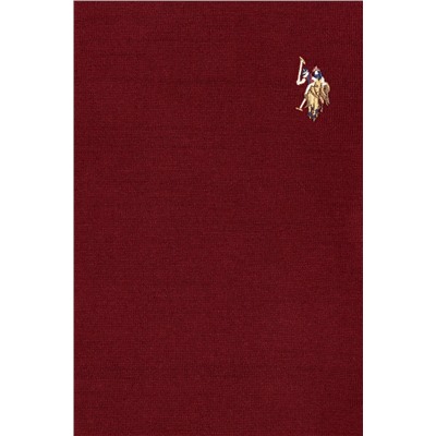 Erkek Çocuk Bordo Bisiklet Yaka Triko Kazak