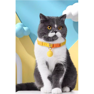 Ошейник для кошек и собак, регулируется