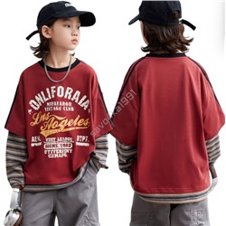 Лонгслив для мальчиков