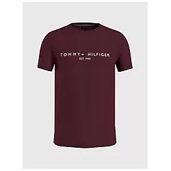 Embroidered Tommy Logo T-Shirt