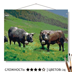 «АЛЬПИЙСКИЕ ЛУГА»