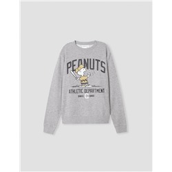 Peanuts' Sweatshirt, Men, Grey